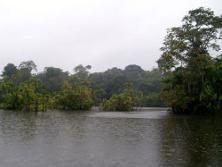 lago-panacocha